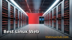 Best Linux Web Hosting Providers Comparison 2025: Complete Review