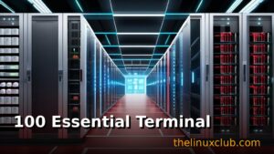 100 Essential Terminal and Command-Line Tools for Linux