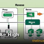 NGINX - High Performance Web Server and Reverse Proxy
