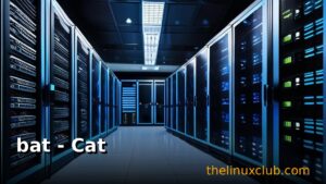 bat - Cat Clone with Syntax Highlighting