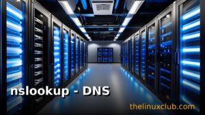 nslookup - DNS Query Tool