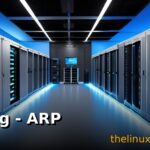arping - ARP Level Ping Utility